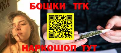соль ск Сланцы