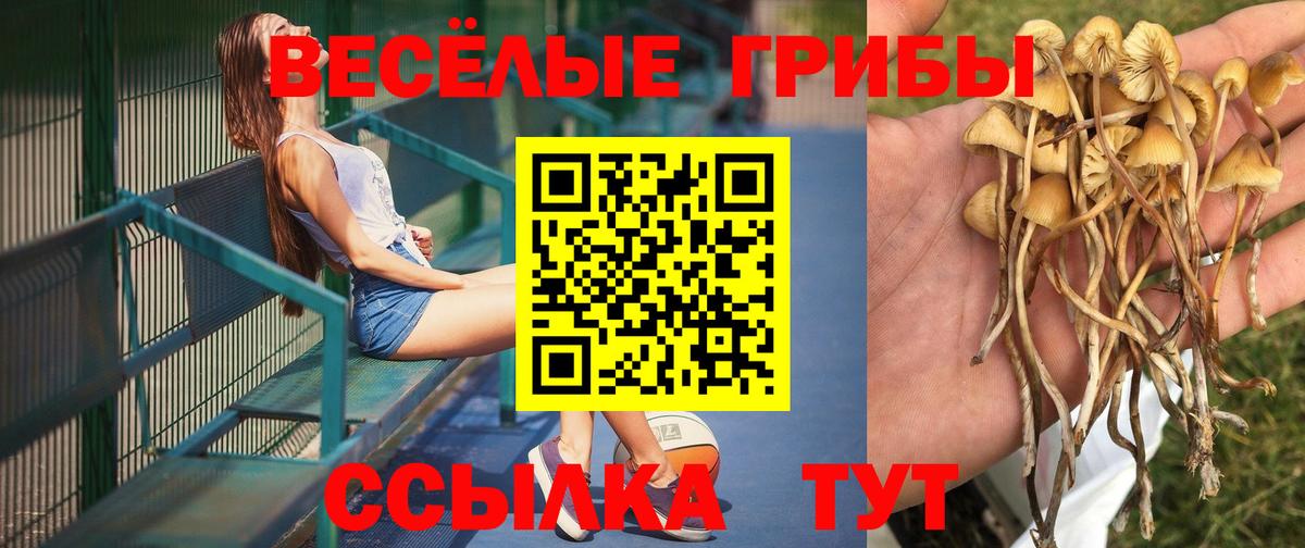 Галлюциногенные грибы Cubensis Нижневартовск